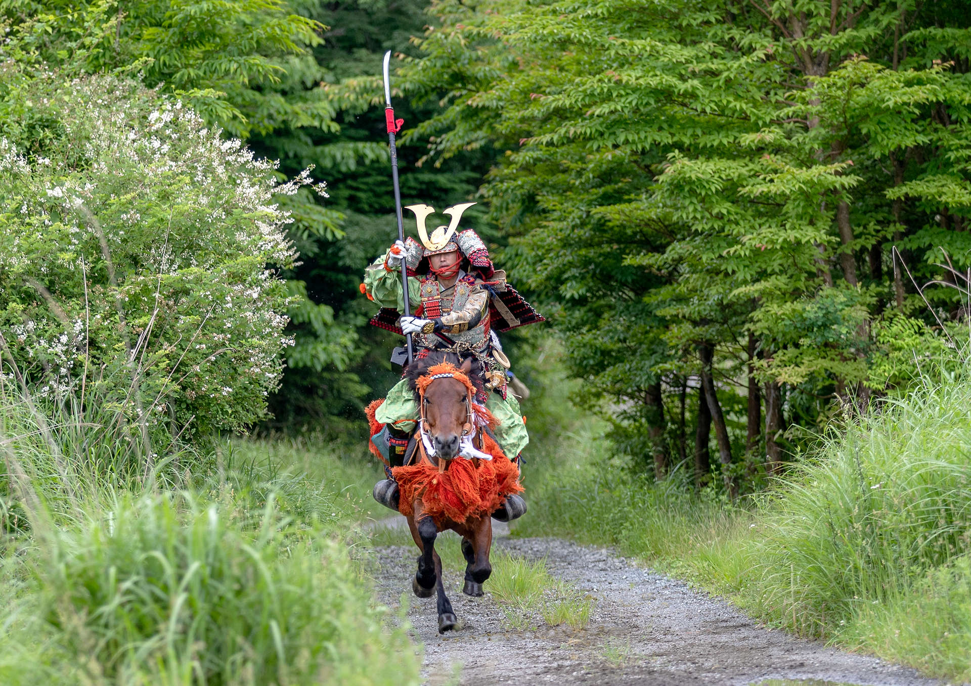 和式馬術とは - NPO法人日本和種馬文化研究協会